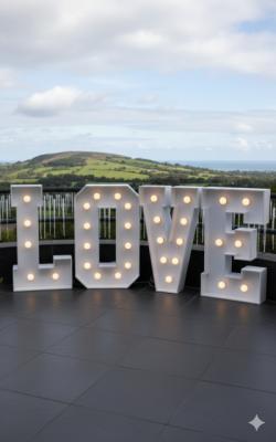 Vintage Marquee Light-Up Letters "LOVE" (Big Bulbs)