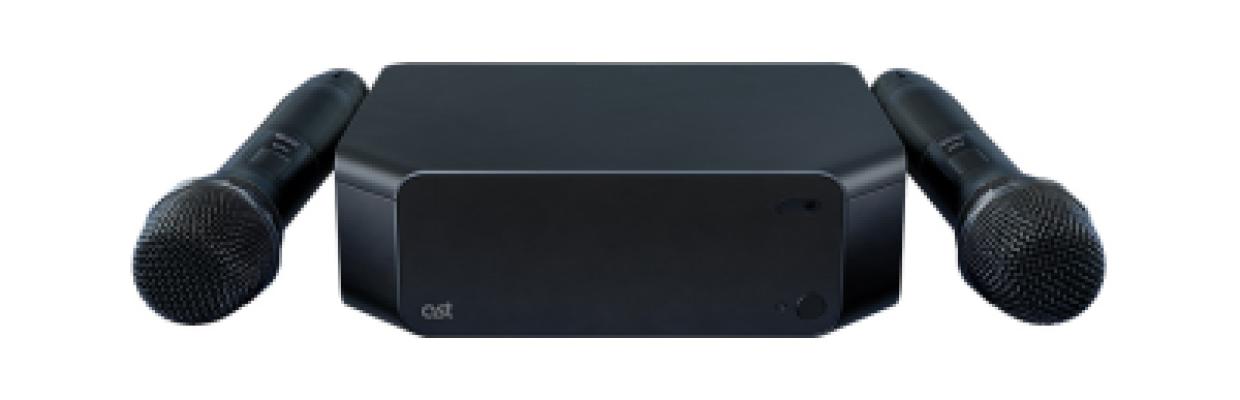 Professional karaoke system AST Zoom2