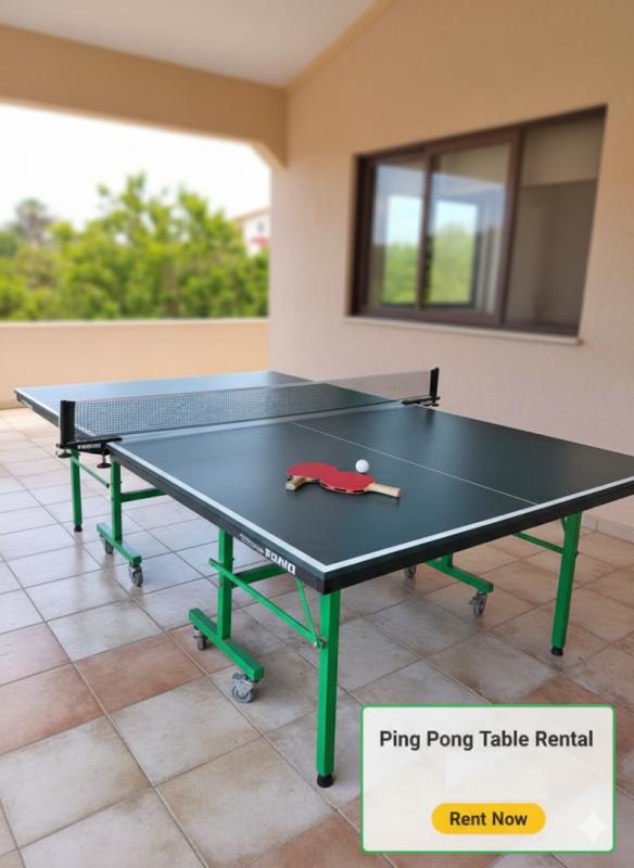Ping Pong table