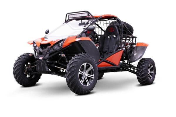 Powerful Buggy 1100cc (2-Seater) — Ultimate Off-Road Adventure